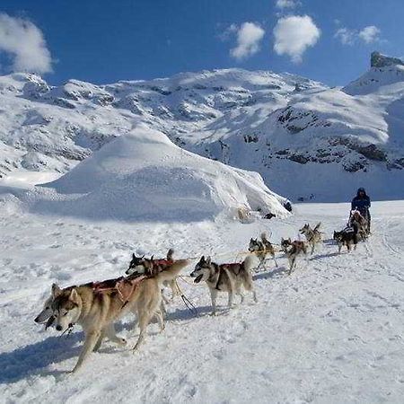 Iglu-Hotel Grandvalira グラウ・ロイグ エクステリア 写真